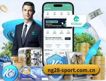 28圈 APP 深度功能